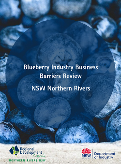 RDANR NSW Blueberry Report